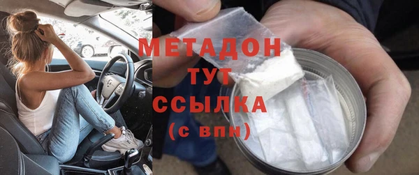 шишки Белоозёрский