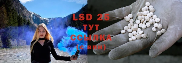 шишки Белоозёрский