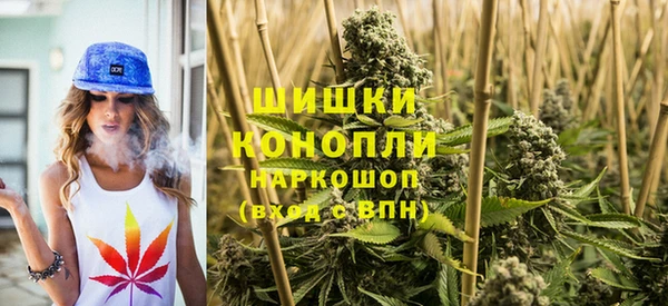 прущие грибы Зеленодольск