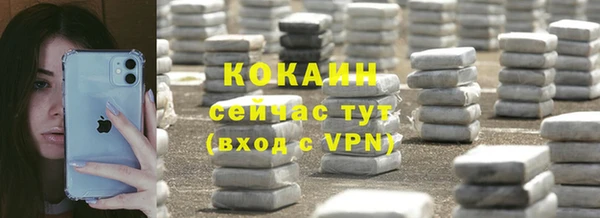 шишки Белоозёрский