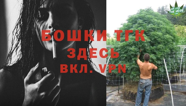 тгк Беломорск