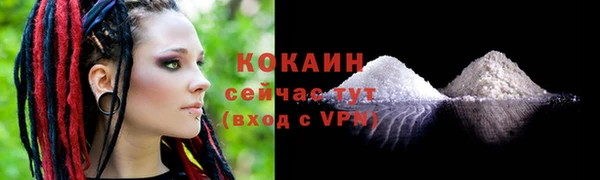 шишки Белоозёрский