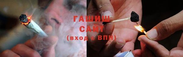 шишки Белоозёрский