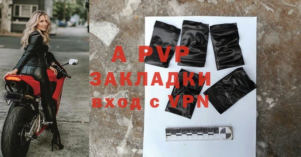 шишки Белоозёрский