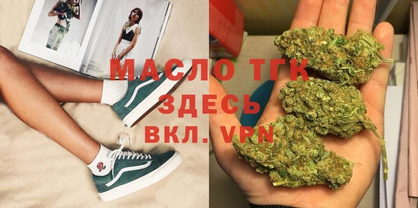 шишки Белоозёрский